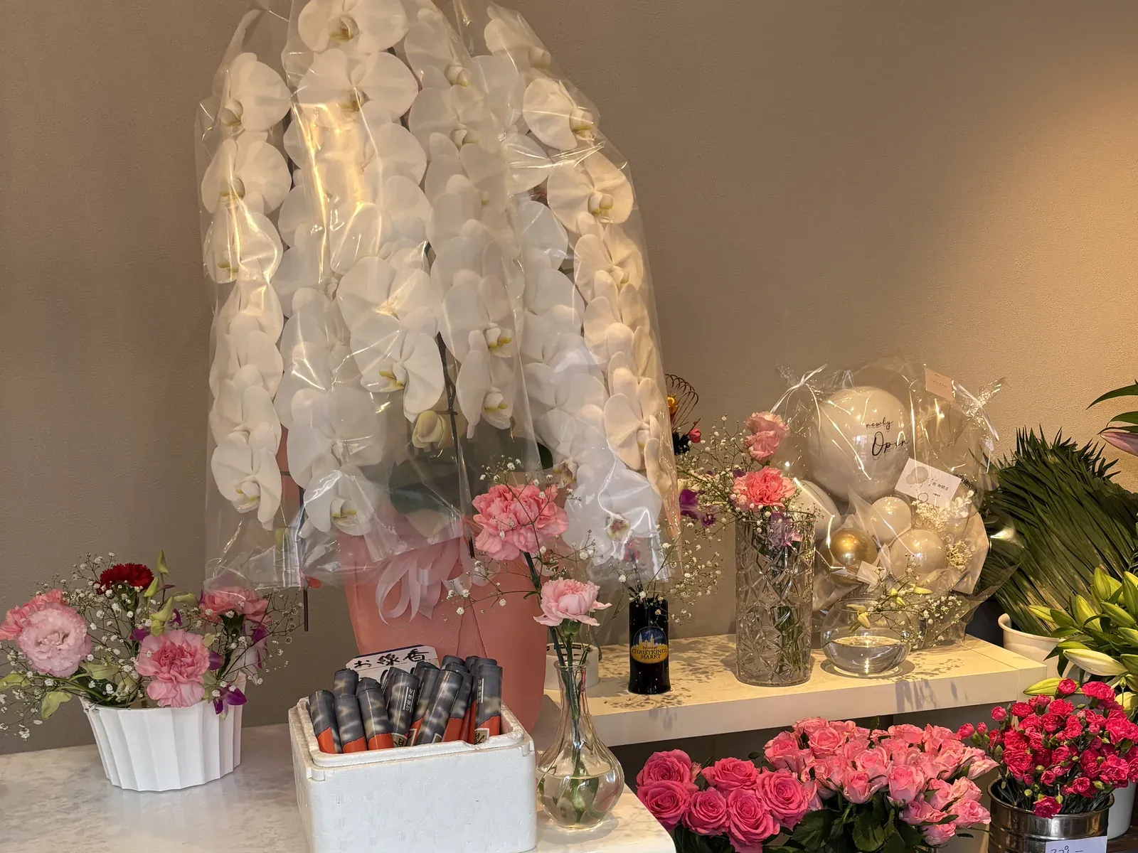 開店祝いの白い胡蝶蘭